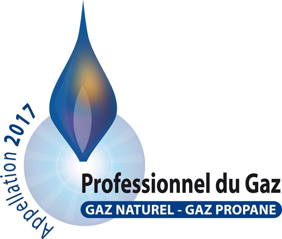 Professionnel du gaz 2014